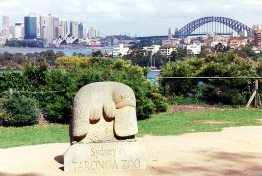 126-cityfromzoolarge