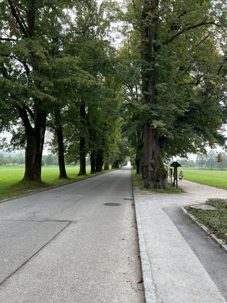 Mondsee-07