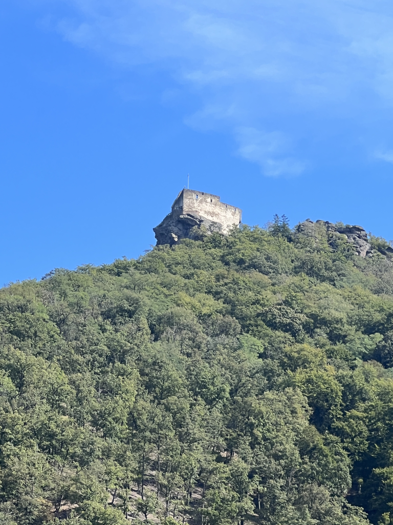 Wachau-04