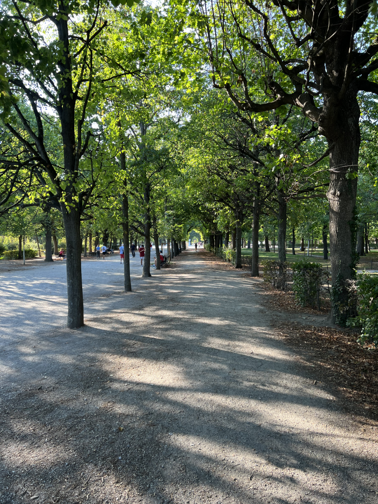 Vienna-24